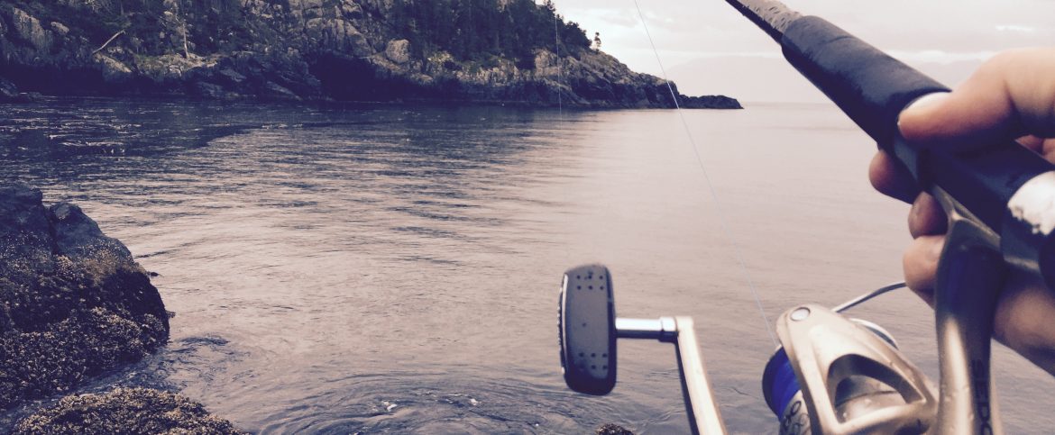 Accountplan December Newsletter